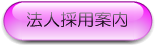 �̗p���